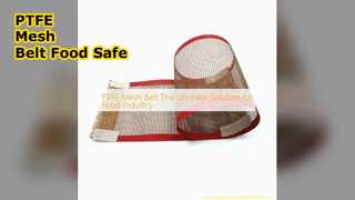PTFE Mesh Belt Food Industry Solution